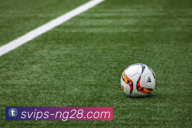 南宫体育官网发展历程